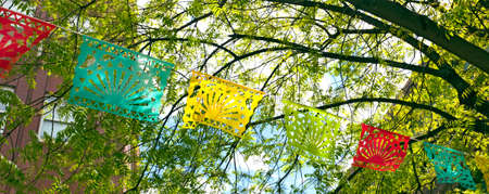 Color Tibetan prayer flags with limb and leaves background. Horizontal.