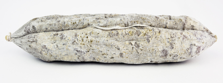 Salami toscano. Isolated.の写真素材