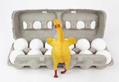 Carton of one dozen eggs with joyful rubber chicken in foreground. Focus on rubber chicken.