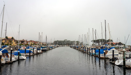 Fishing and recreational boats docked at overcast San Francisco marina.のeditorial素材