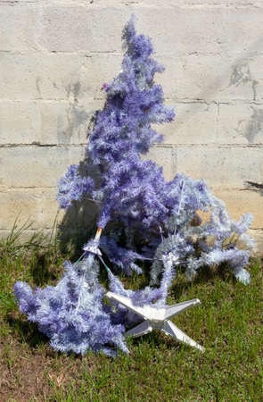 Disassembled abandoned purple artificial Christmas tree in alley.の写真素材