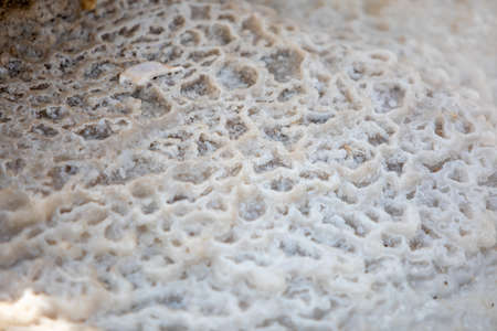 The endless expanses of the Dead sea - Israelの写真素材