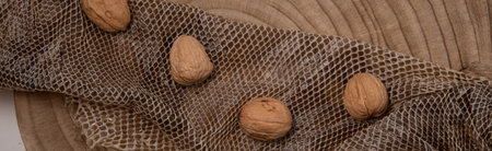 Walnuts isolated on wooden background and snake skin