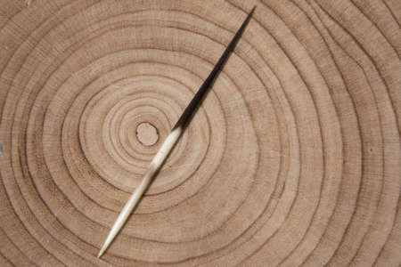 The texture of the surface of the old tree stump. Very old wood texture. The texture of the sawn wood. Close-up. The texture of the core of the tree trunk. Cracks in the old saw cut.の写真素材