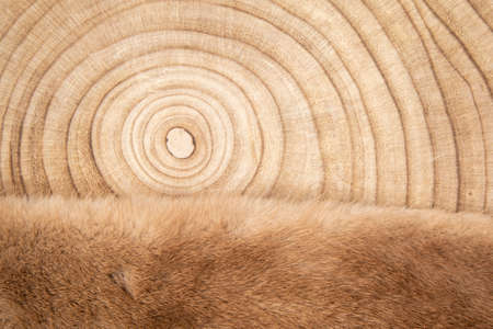 fur carpet on wood background High qualityの写真素材