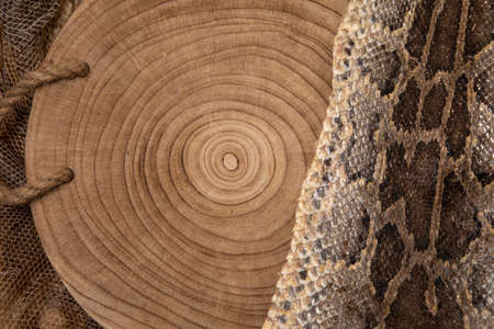 wood snake snin background texture