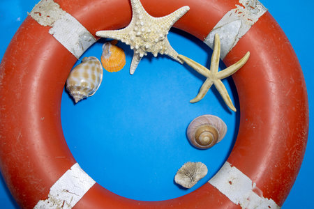Summer sea background - shells and corals on a blue background. Beautiful exotic shell on blue. High quality photoの写真素材