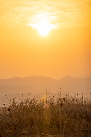 mountain silhouette in the desert at sunset sunriseの写真素材