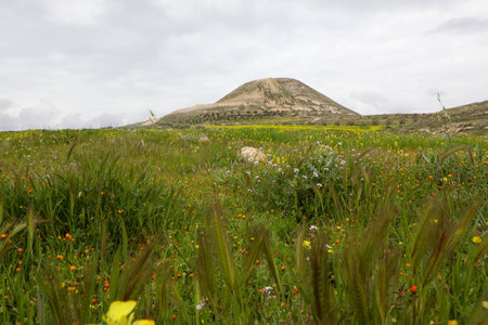 The ruins of the outer part of the palace of King Herod - Herodion,in the Judean Desert, in Israel