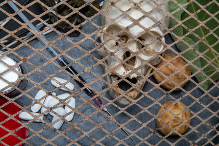 Mafia, justice and murderment crime concept. skull with revolver gun pistol against black background. Free space.の写真素材