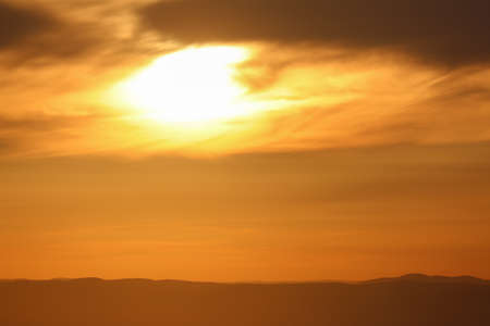 Silhouette grass flowers with the sunrise background