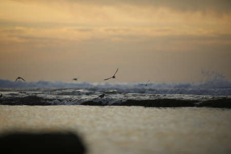 Beautiful orange sunset over the Black Sea. Evening sea with waves. Focusing in the center of the...