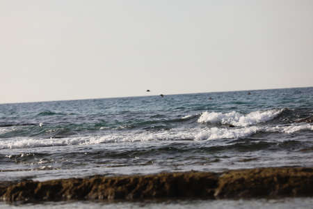 low waves on the shore of a beach High quality
