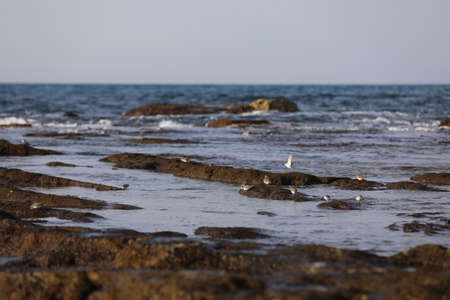 Landscape of rock and sea High quality