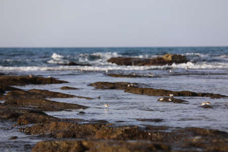 Landscape of rock and sea High qualityの写真素材