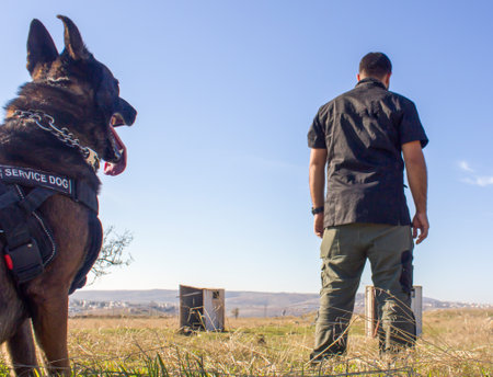 Dog Training, Show Dogs of War, to learn the human language. Dogs can follow orders well.の写真素材