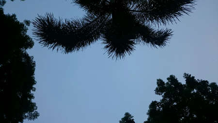 Getting dark 2の素材