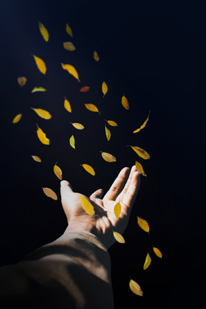 Tree leaves in mid air near human hand.の写真素材