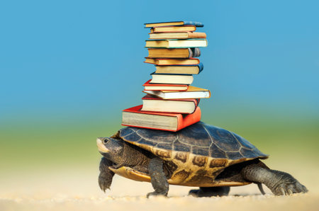 Turtle carrying a stack of books on its shell, creative educational concept.