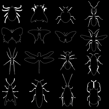 White stripe pattern line insects vector collection. Insects biology natural isolated icons. Fly insects micro view vector.のイラスト素材