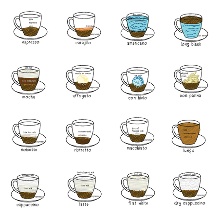 color drawing of different coffee proportions set.のイラスト素材