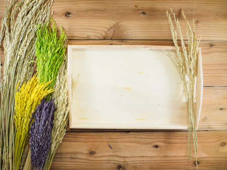 colorful paddy rice ,like a flowers on wood backgroundの写真素材