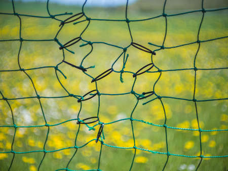 Patchworkの写真素材