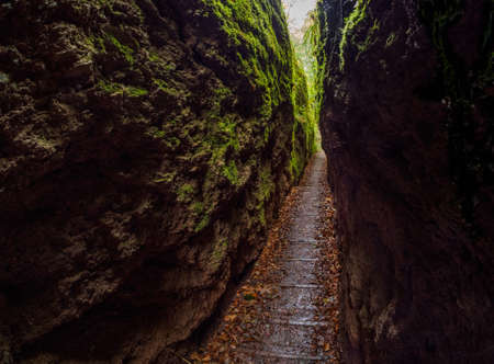 Dragon canyon near Wartburg in Germany