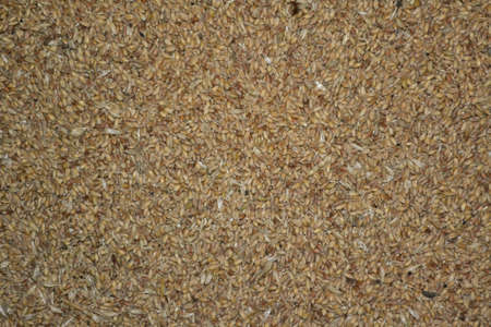 Background grainの写真素材