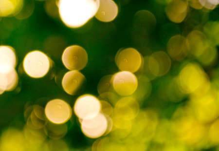 blurred backgroundの写真素材