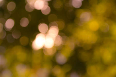 blurred backgroundの写真素材