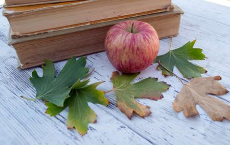 books on the tableの写真素材