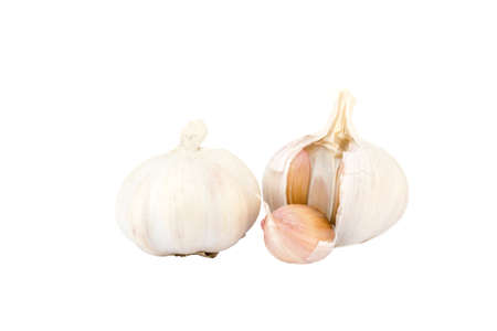 garlicの写真素材