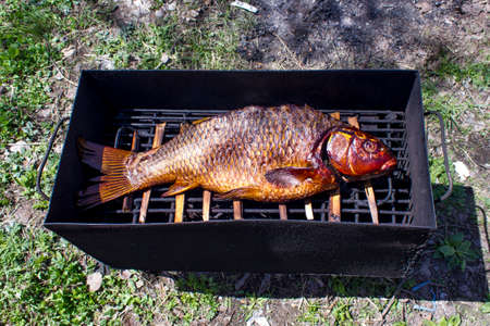 roast fish carp barbecueの写真素材