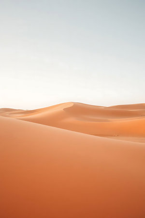 Experience the vastness and beauty of the desert with this warm, inviting landscape. Perfect for travel, tourism, and adventure projects. Evokes a sense of freedom and tranquility, ideal for marketing campaigns.の素材