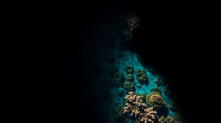 Explore a breathtaking underwater coral reef, alive with vibrant colors and illuminated by crystal-clear turquoise waters. A stunning depiction of marine biodiversity and natural beauty.の素材