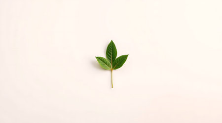 A single vibrant green leaf with detailed veins symbolizes growth, nature, and renewal. Its fresh, organic presence on a soft, clean background evokes purity and new beginnings.の素材