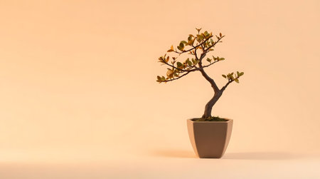 A beautiful bonsai tree in a stylish planter evokes a sense of calm and natural beauty, perfect for creating a serene atmosphere in homes or offices.の素材