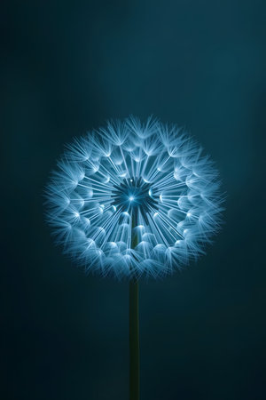 Experience the magic of a dandelion seed head bathed in enchanting blue light. This delicate, glowing bloom evokes wishes, dreams, and new beginnings, perfect for conveying hope and natural beauty.の素材