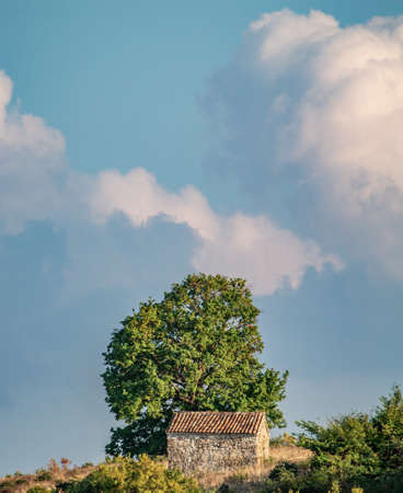 Monastery at the treeの写真素材