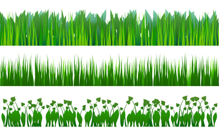 Three grass and plants variants in green colors on white backgroundのイラスト素材