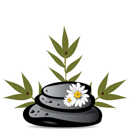 Zen ambiance with bamboo and black stones のイラスト素材