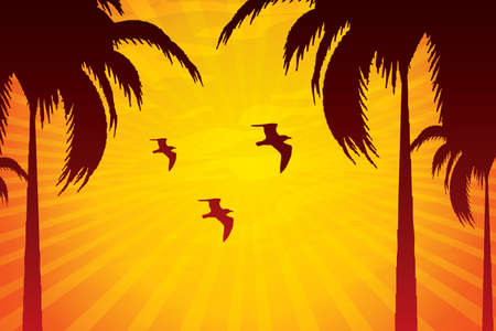 Illustration of tropical background with palms at sunsetのイラスト素材