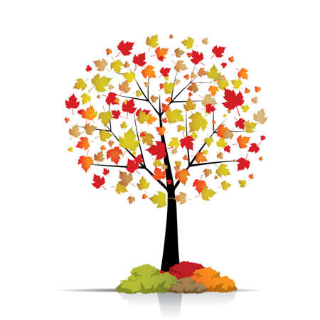 Beautiful autumn tree isolated on whiteのイラスト素材