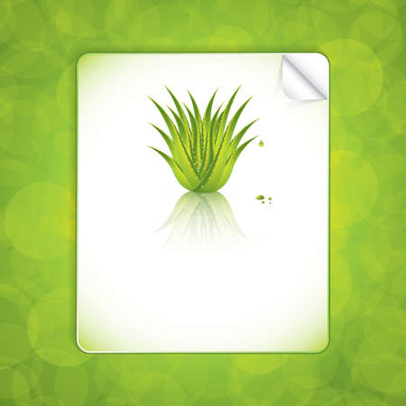 Aloe Vera concept design vectorのイラスト素材