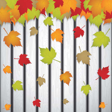 Autumn leaves backgroundのイラスト素材