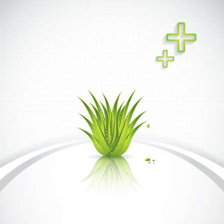 Aloe Vera concept designのイラスト素材