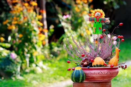 Scarecrow and decorative pumpkins in ikebana.Colorful autumn background の写真素材