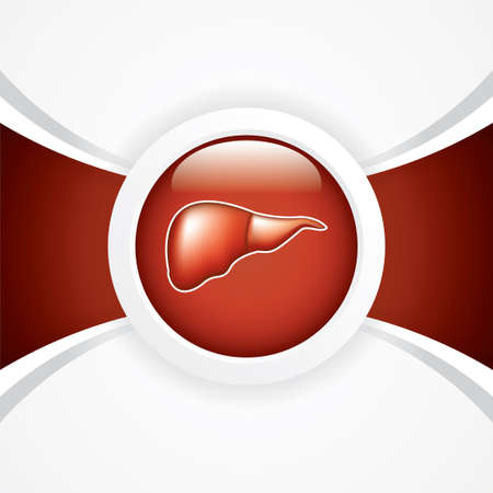 Liver background.Vectorのイラスト素材