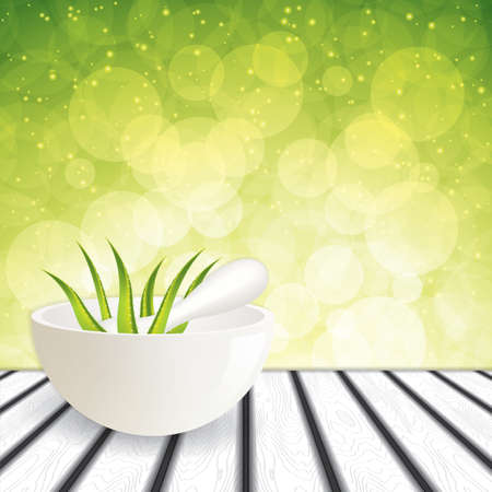 Aloe Veraのイラスト素材